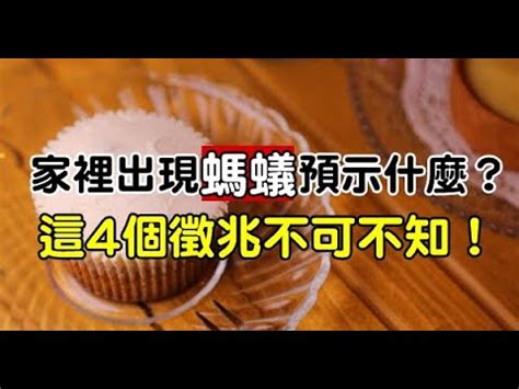 廁所很多螞蟻|【廁所突然很多螞蟻】廁所滿滿都是螞蟻怎麼辦？專家教你秒滅整。